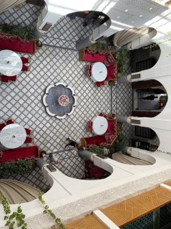 IMG_5777.jpeg IMG_5777.jpeg