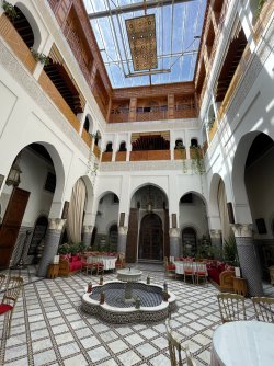 IMG_5768.jpeg IMG_5768.jpeg