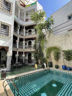 IMG_5774.jpeg IMG_5774.jpeg