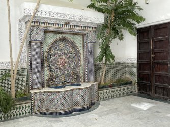 IMG_5781.jpeg IMG_5781.jpeg