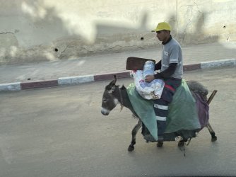 IMG_5803.jpeg IMG_5803.jpeg