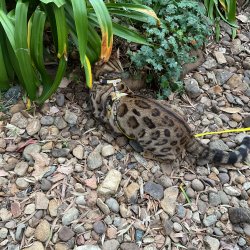 IMG_0801.jpeg IMG_0801.jpeg