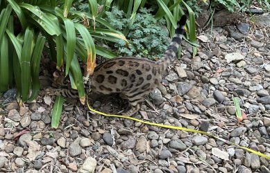 IMG_0803.jpeg IMG_0803.jpeg