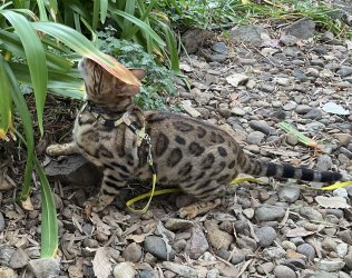 IMG_0807.jpeg IMG_0807.jpeg