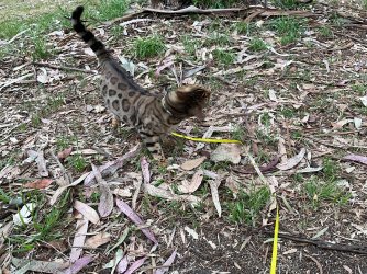 IMG_0810.jpeg IMG_0810.jpeg