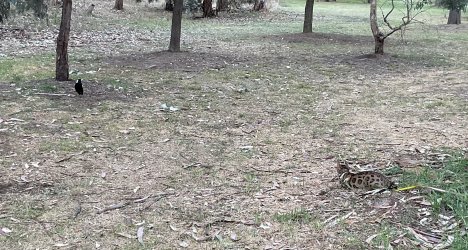 IMG_0814.jpeg IMG_0814.jpeg