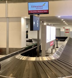 IMG_2737.jpeg IMG_2737.jpeg