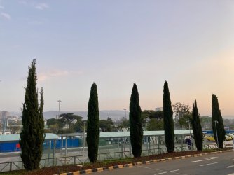 IMG_2738.jpeg IMG_2738.jpeg