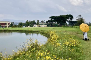 IMG_2746.jpeg IMG_2746.jpeg