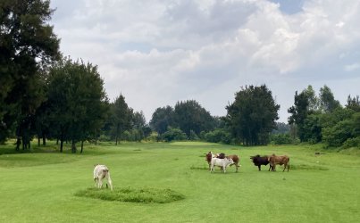 IMG_2748.jpeg IMG_2748.jpeg