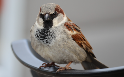 Screenshot 2024-09-30 140857.png Screenshot 2024-09-30 140857.png