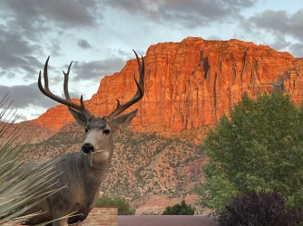 IMG_4036.jpeg IMG_4036.jpeg