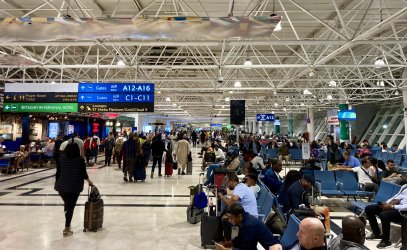 IMG_2755.jpeg IMG_2755.jpeg