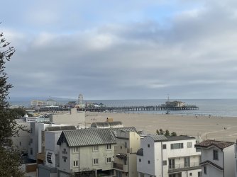 IMG_2242.jpeg IMG_2242.jpeg