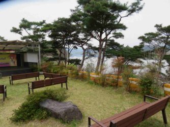 jpeg-optimizer_IMG_0204(1).JPG jpeg-optimizer_IMG_0204(1).JPG