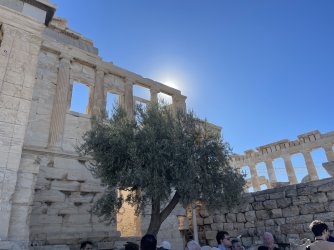 IMG_2285.jpeg IMG_2285.jpeg