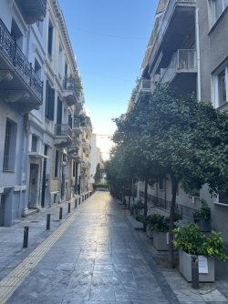 IMG_2274.jpeg IMG_2274.jpeg