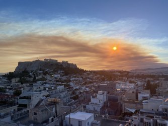 IMG_2294.jpeg IMG_2294.jpeg