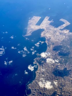 IMG_2774.jpeg IMG_2774.jpeg