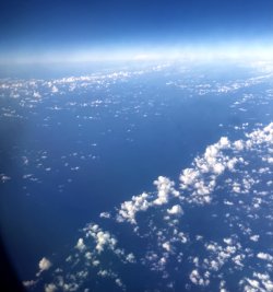 IMG_2775.jpeg IMG_2775.jpeg