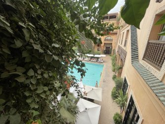 IMG_5807.jpeg IMG_5807.jpeg