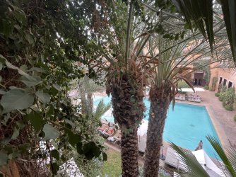 IMG_5810.jpeg IMG_5810.jpeg