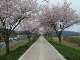 jpeg-optimizer_IMG_0220(1).JPG jpeg-optimizer_IMG_0220(1).JPG