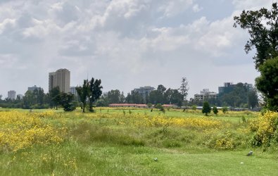 IMG_2743.jpeg IMG_2743.jpeg