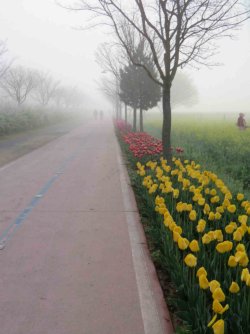 jpeg-optimizer_IMG_0017(2).JPG jpeg-optimizer_IMG_0017(2).JPG