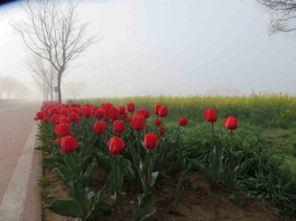 jpeg-optimizer_IMG_0021(3).JPG jpeg-optimizer_IMG_0021(3).JPG