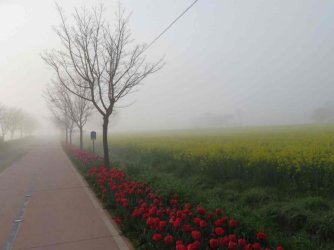 jpeg-optimizer_IMG_0030(2).JPG jpeg-optimizer_IMG_0030(2).JPG
