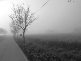 jpeg-optimizer_IMG_0037(4).JPG jpeg-optimizer_IMG_0037(4).JPG