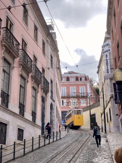 IMG_2801.jpeg IMG_2801.jpeg