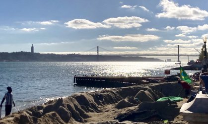 IMG_2806.jpeg IMG_2806.jpeg