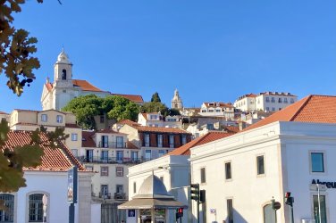 IMG_2810.jpeg IMG_2810.jpeg