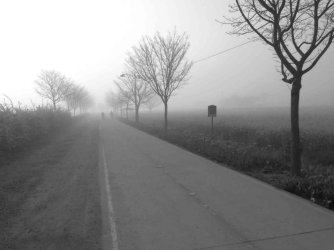 jpeg-optimizer_IMG_0040(3).JPG jpeg-optimizer_IMG_0040(3).JPG