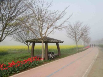 jpeg-optimizer_IMG_0048(2).JPG jpeg-optimizer_IMG_0048(2).JPG