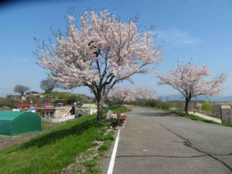 jpeg-optimizer_IMG_0119(2).JPG jpeg-optimizer_IMG_0119(2).JPG