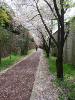 jpeg-optimizer_IMG_0178(1).JPG jpeg-optimizer_IMG_0178(1).JPG