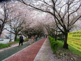 jpeg-optimizer_IMG_0190(1).JPG jpeg-optimizer_IMG_0190(1).JPG