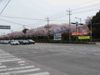 jpeg-optimizer_IMG_0192(1).JPG jpeg-optimizer_IMG_0192(1).JPG