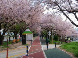 jpeg-optimizer_IMG_0210(1).JPG jpeg-optimizer_IMG_0210(1).JPG