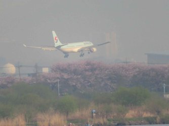 jpeg-optimizer_IMG_0030(3).JPG jpeg-optimizer_IMG_0030(3).JPG