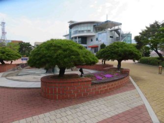 jpeg-optimizer_IMG_0050(3).JPG jpeg-optimizer_IMG_0050(3).JPG