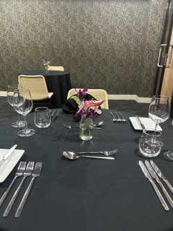 IMG_6179.jpeg IMG_6179.jpeg