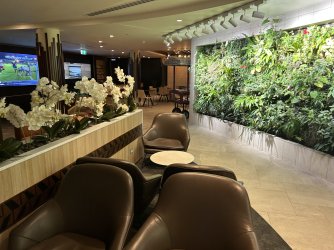 IMG_6197.jpeg IMG_6197.jpeg