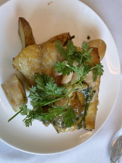 IMG_2881.jpeg IMG_2881.jpeg