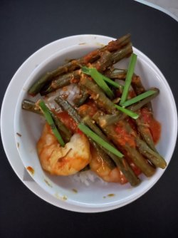 IMG_2883.jpeg IMG_2883.jpeg