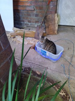 1000002592.jpg 1000002592.jpg