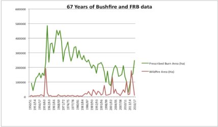 1728475968879.jpeg 1728475968879.jpeg